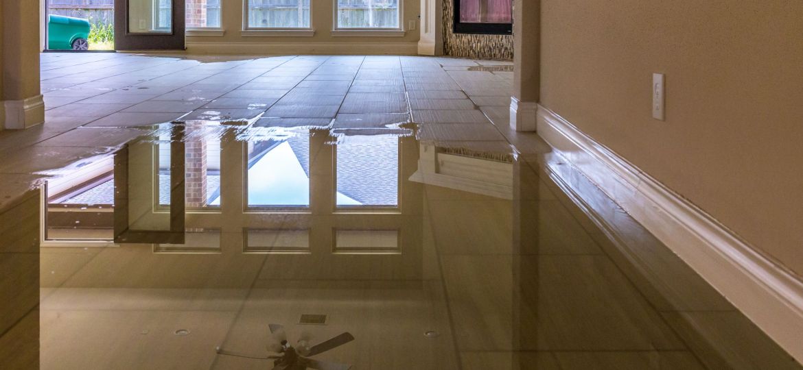 plumbing leak, plumbing, plumbing leaks, leak, leaks, hidden leaks, hidden plumbing leaks, hidden leak