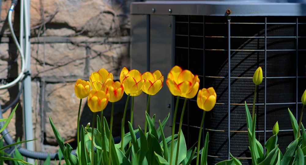 Why You Should Get an AC Tune-Up in Spring